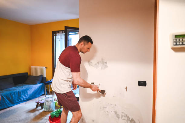 Best Residential Mold Remediation in White Sulphur Springs, WV